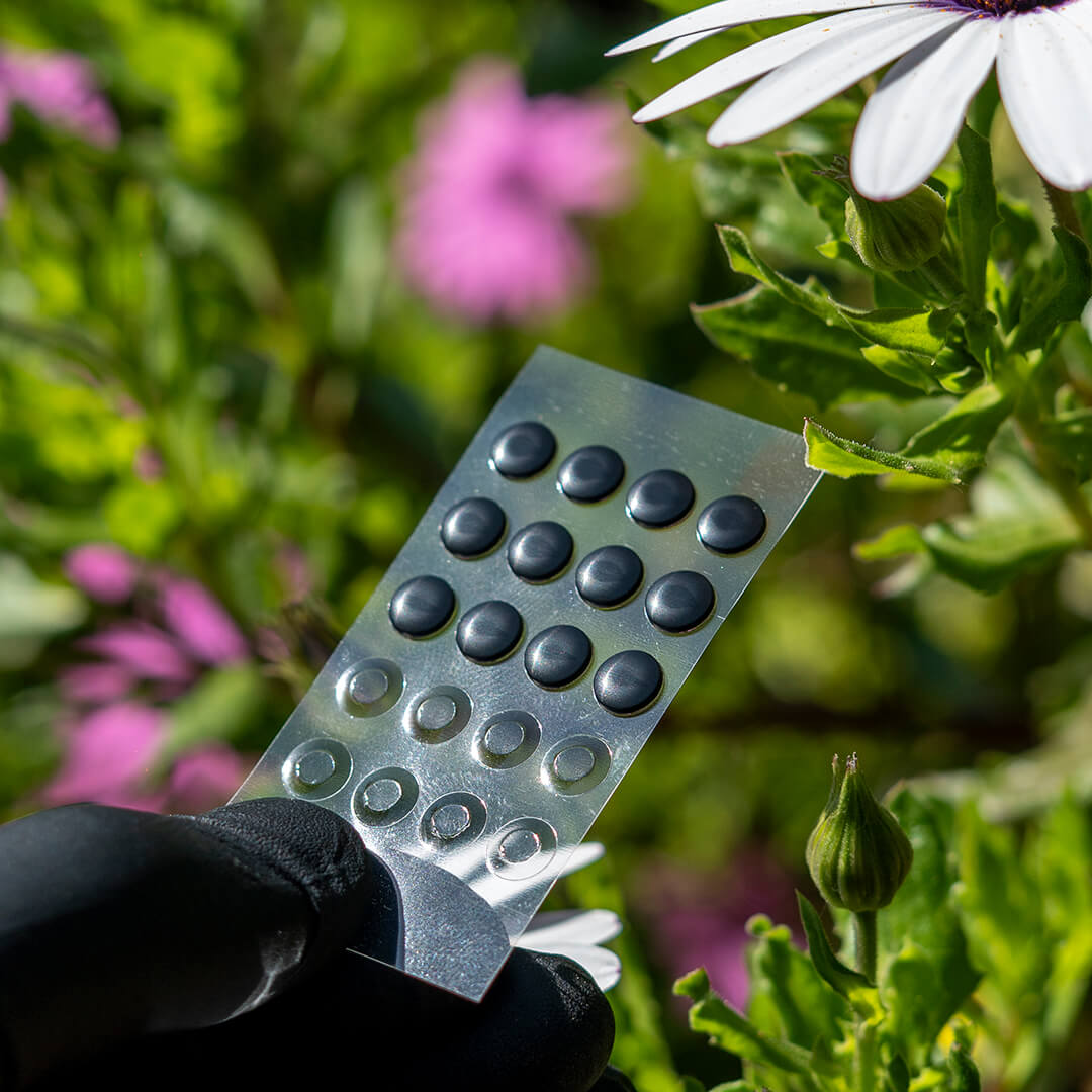 LAVA MAX DOTS (CONTROL) - SKATES UNIVERSALES MOUSE